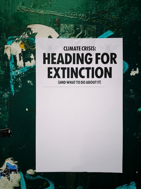 Social Justice and Human Rights